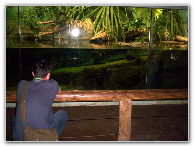 Stuart at Perth Zoo Feb 16th 2007 1